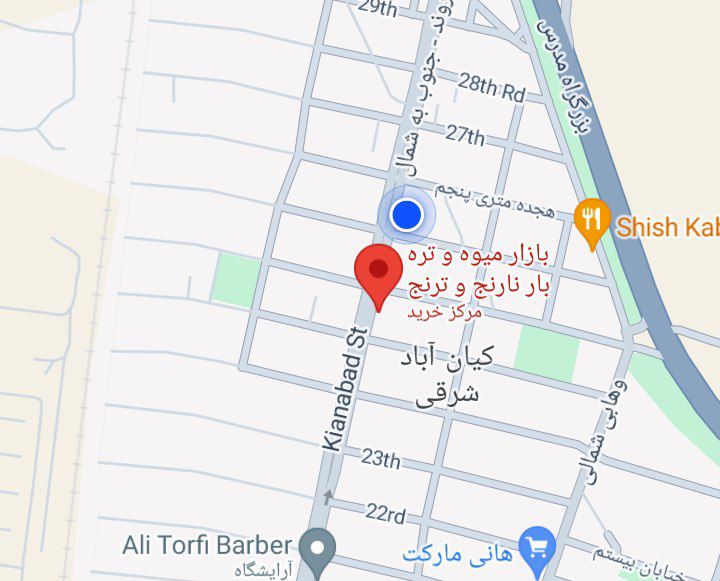 فروشگاه نارنج و ترنج